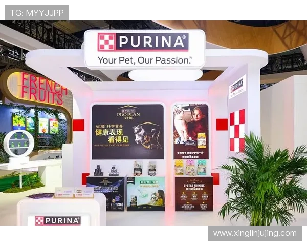 打造创新企业家平台：助力创业者突破瓶颈，实现可持续增长与价值创造